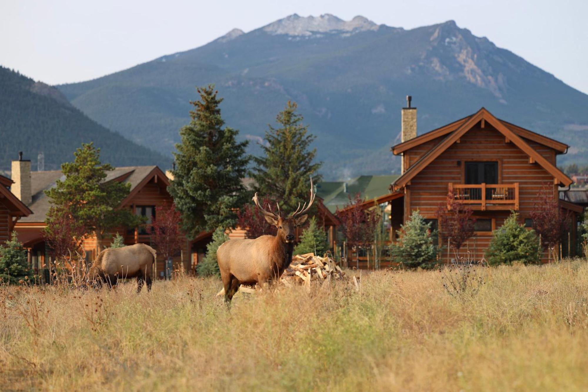 Chic Retreat Indoor Outdoor Fireplace, Private Jacuzzi, Great Location! Villa Estes Park Exterior photo